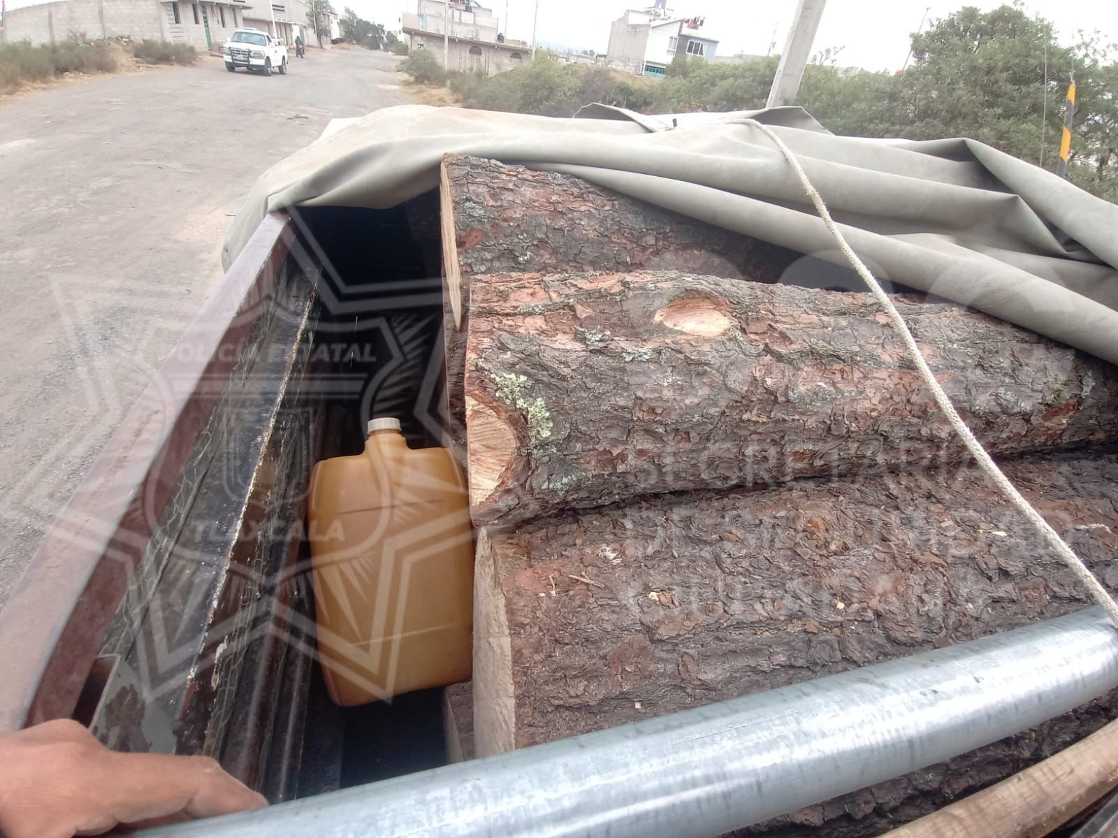 Detiene SSC en Calpulalpan a cinco hombres por incurrir en delitos ambientales